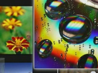 Visual 3d Browsing Experience