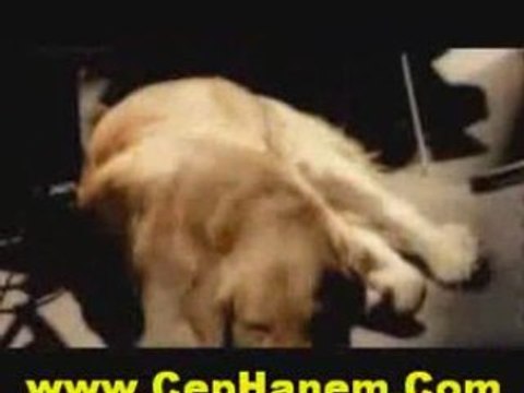 Sezen Aksu - Perisanim Simdi