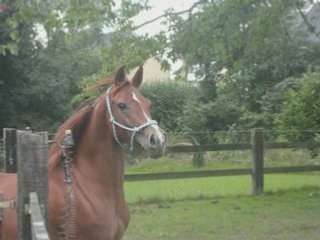 Je vous aime, Madou, Danae, Moi ❤️