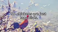 Right? hahaha