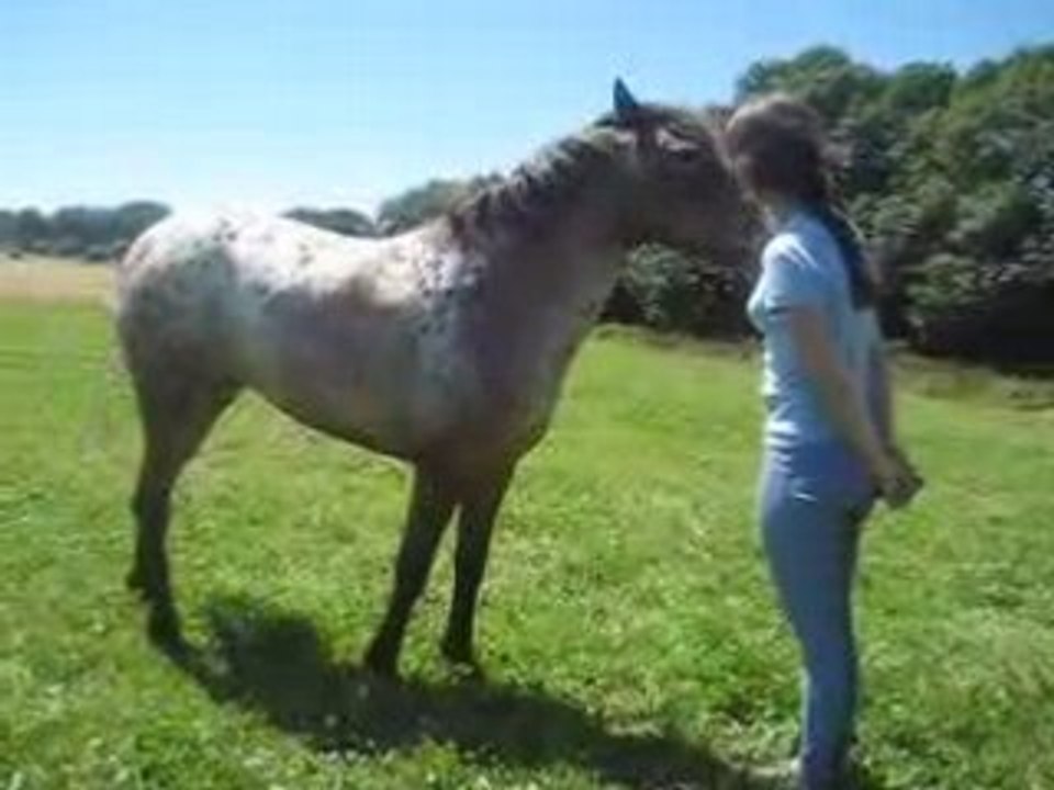 RAND0 2008 - Sucette dit Oui