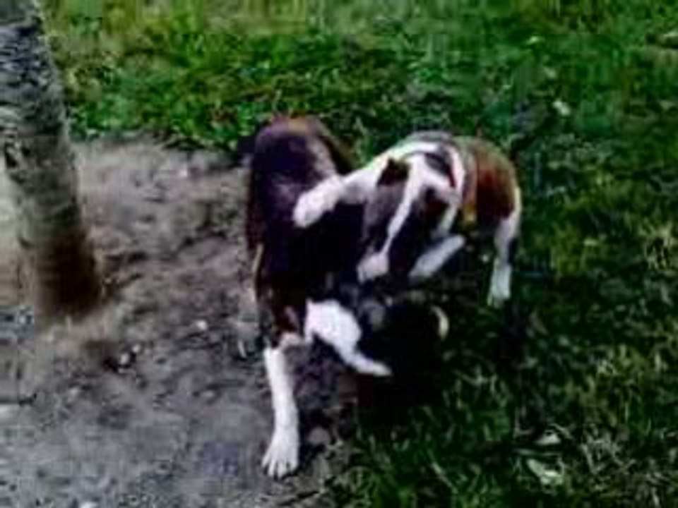 Del'tyson et TitO