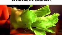 ¿Conoces a alguien así de bueno con las técnicas de estudio?