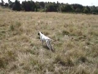 Chanel caline chistera 002