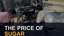 The Sugar Cube That Helped Build Empires