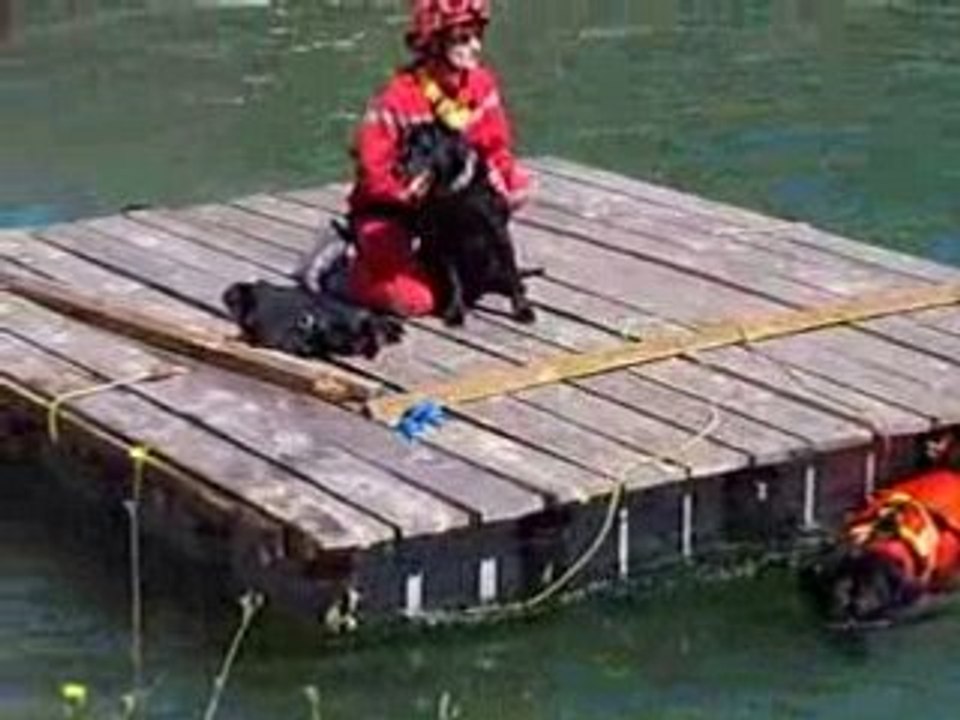 Démo Cap Découverte août 2008