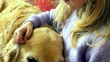 Peaceful Rescue Dog Naps on a Child's Lap 🐾 Trust at First Sight 🥹