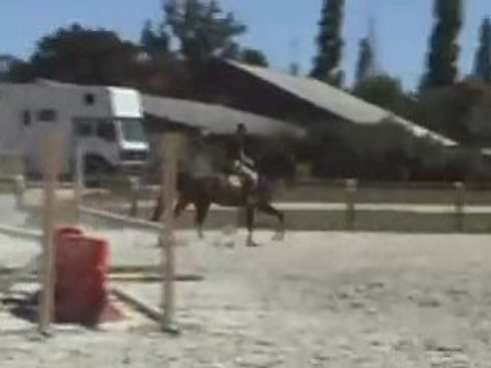 Queylus 2008