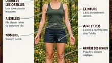 Après une balade : où chercher les tiques ?
