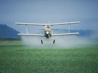 Are Pesticides Really Hazardous?