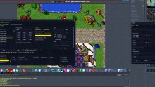Tibia bot 100% automatic