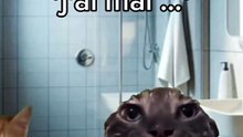 Le suppo