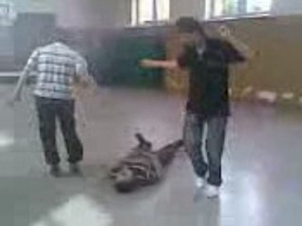 KoLbAsTi eray erdinc ibrahim
