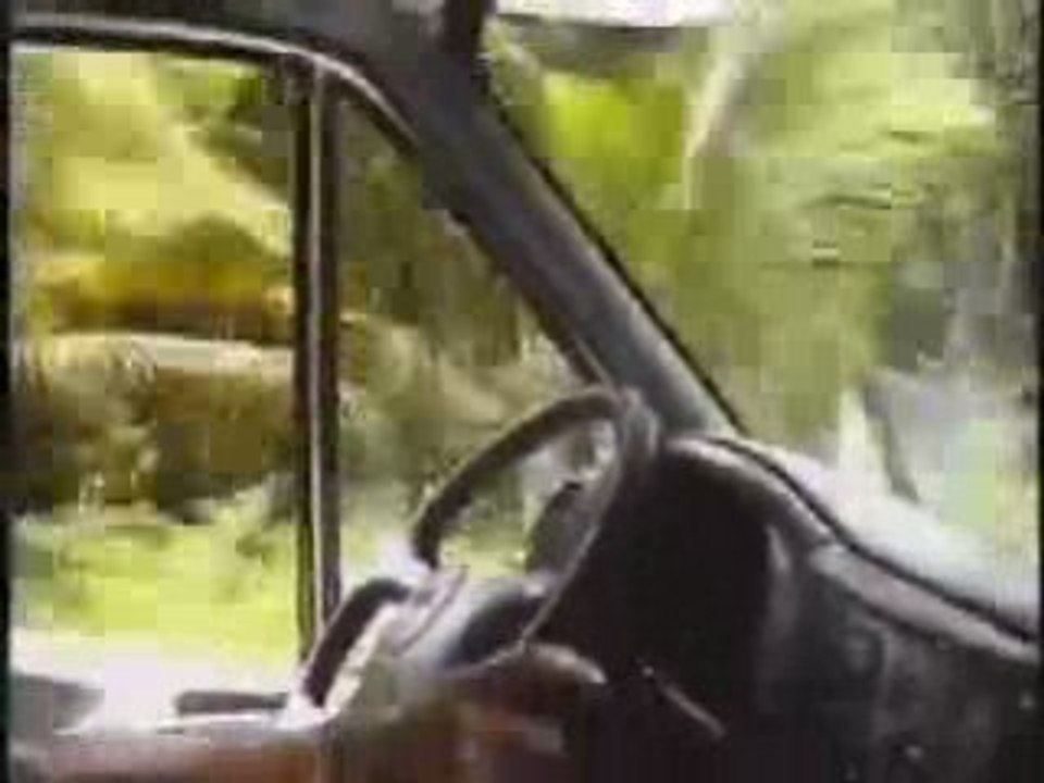 Ballade sur l'ile de la Réunion