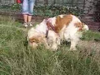 Balade 16 août ( n° 07 )