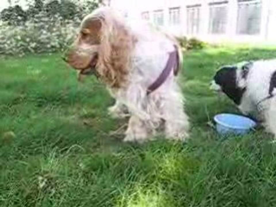 Balade 16 août ( n° 01 )