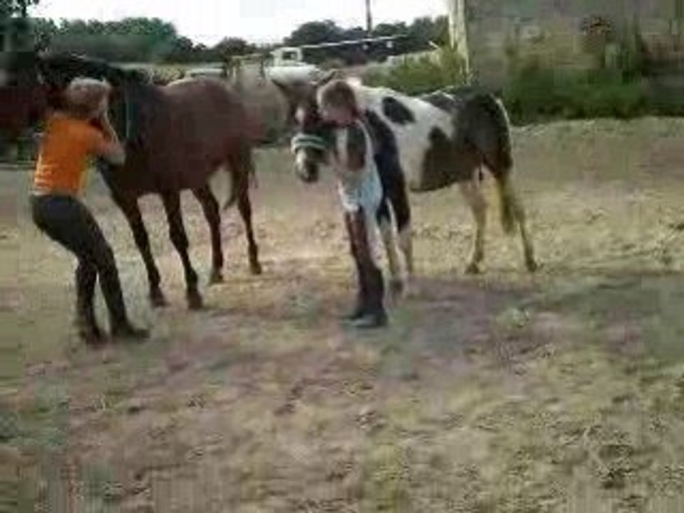 Mariage Eclair - Laetitia