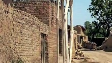 funny animal _viral _karachi _trending _funny