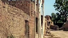 funny animal _viral _karachi _trending _funny