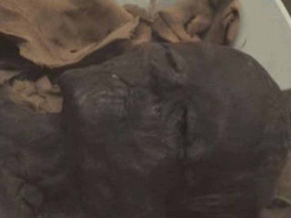 british museum london uk