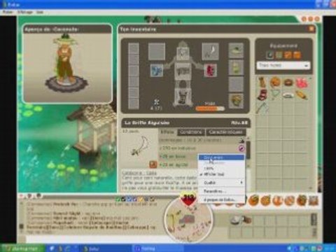 Dofus eca terre lvl 85 anneaux pouris en attente de gelano;)