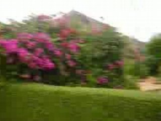 Dakar Dakar 2K Race Highlights