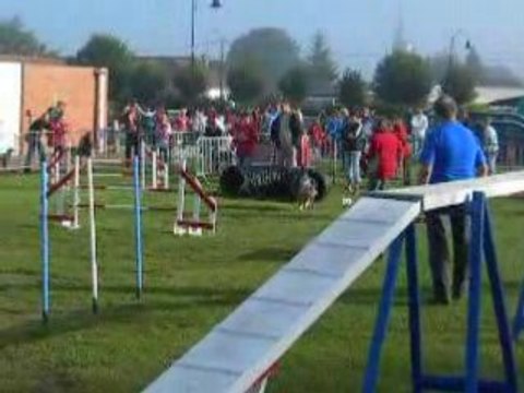 Beaurainville agility Umi christal des forges de thor