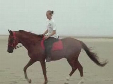 Vacance Apercu Baie de somme plage