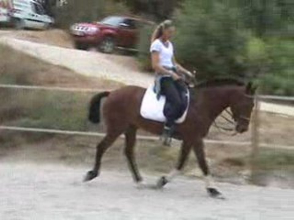 20080816182149