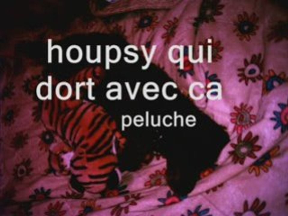 Souvenir de decize