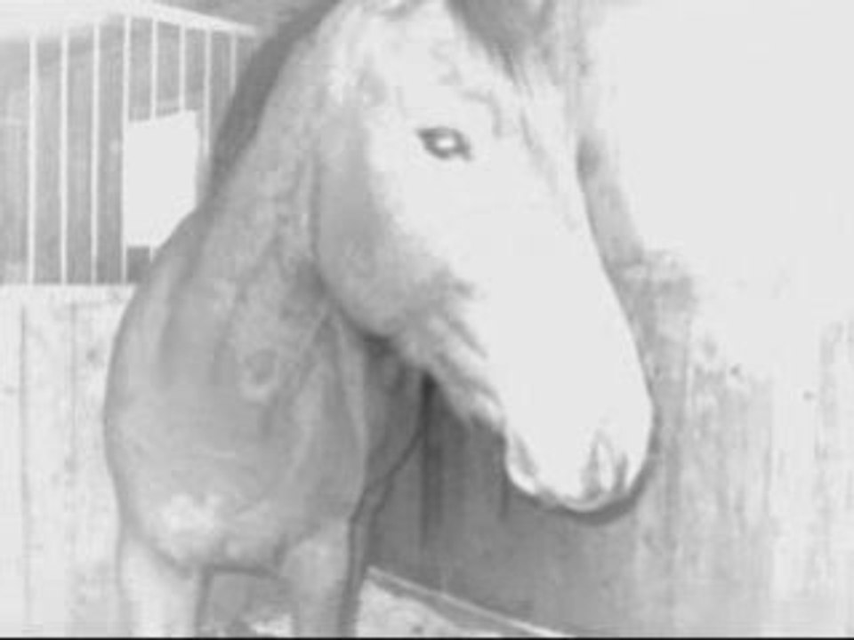 Rien que le début...