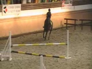 Matthias et lassie  CSO Dinard