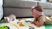 Qu🥹❤️ Une petite boule de poils, beaucou. 🐱👶 Regardez comme ils sont adorables ensemble ❤️✨