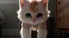 Cute cat checks his weight on the scale, would you be this calm stepping on yours? Comment PROMPT