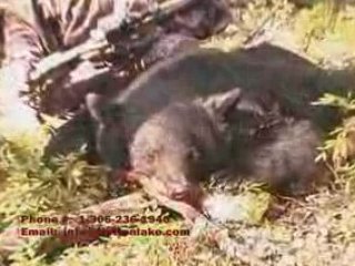 Saskatchewan Whitetail Deer Hunting