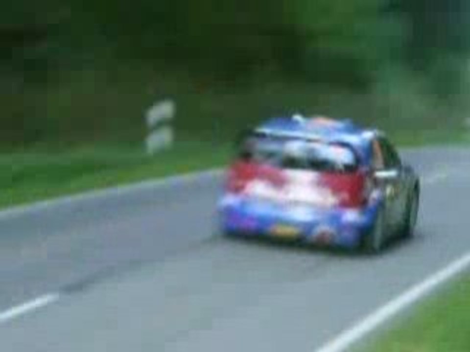 rallye d'allemagne 2008