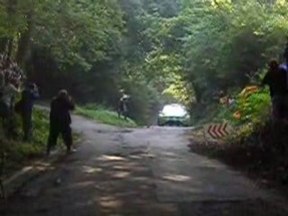 rallye allemagne