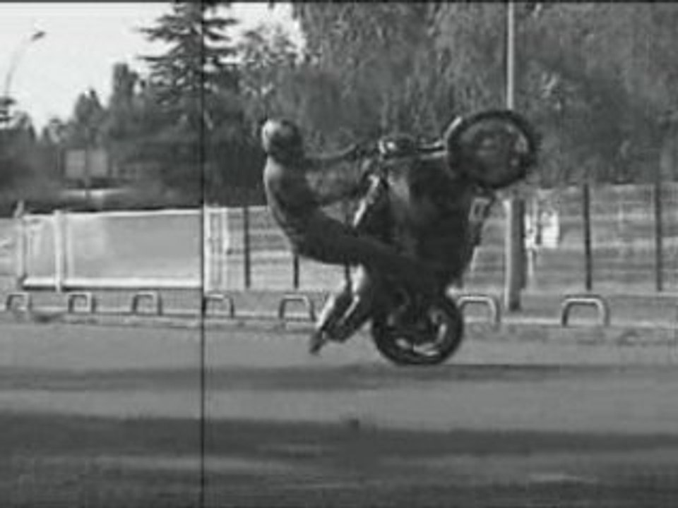 stunt RRNEW