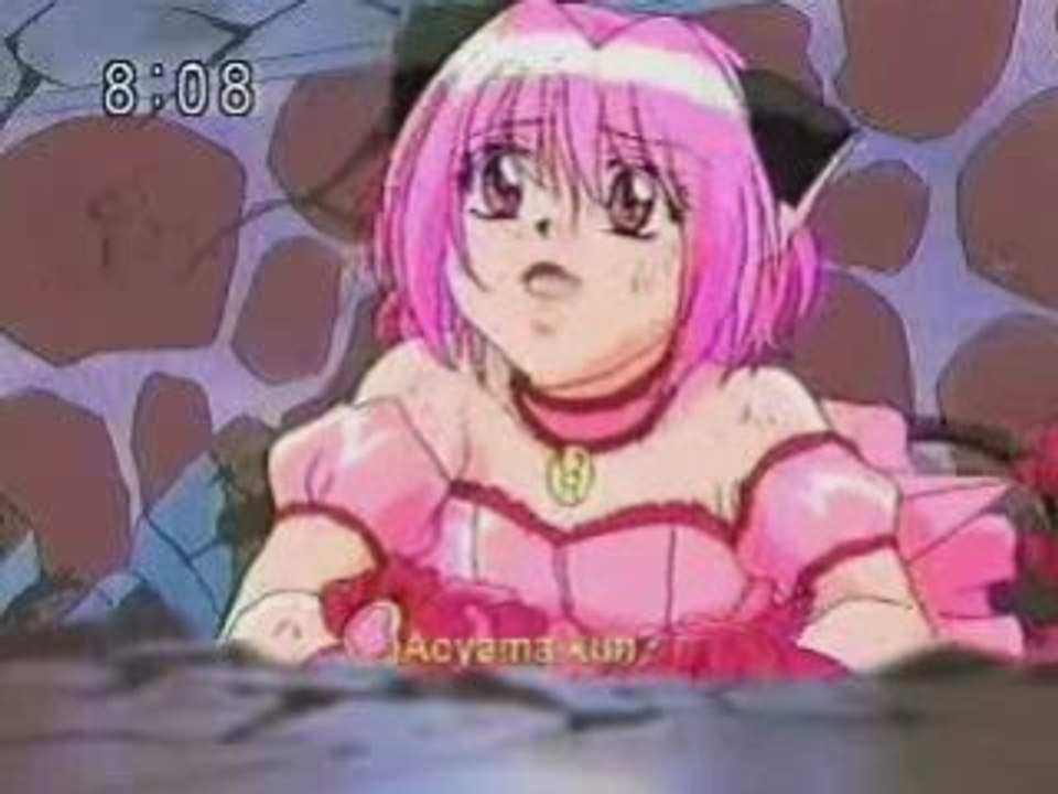 Tokyo mew mew2