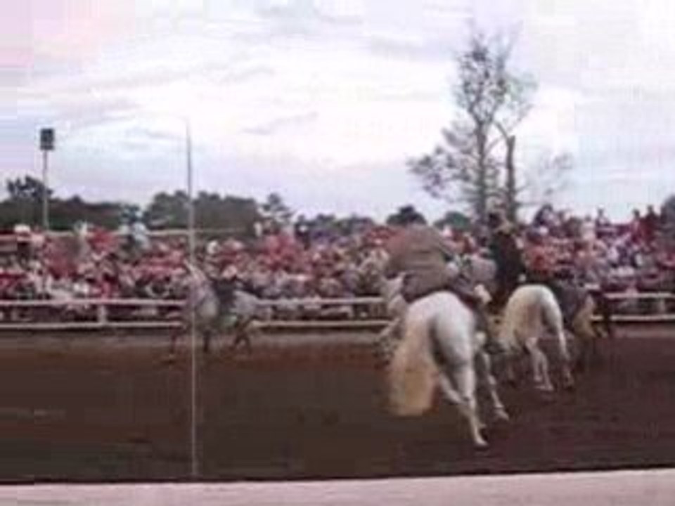 PHOTOS BOB JUILLET.AOUT 2008 075