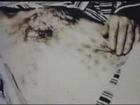 Mystere - OVNI - Laffaire Michalak - Falkon Lake