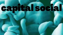 capital social