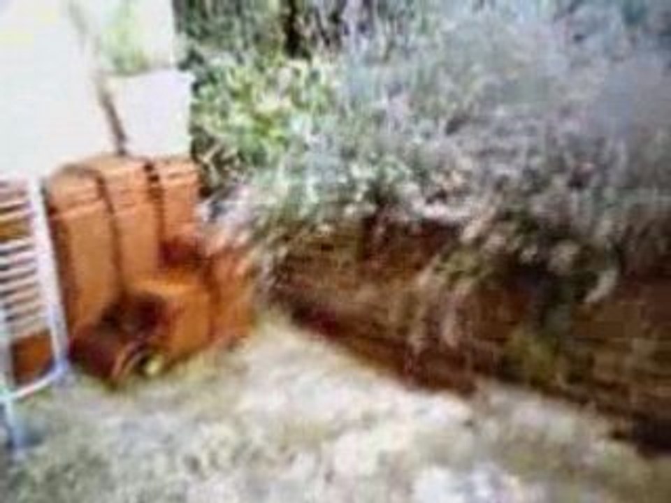 Flycam sur DM4