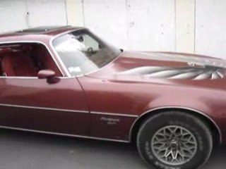 79 Firebird walk around