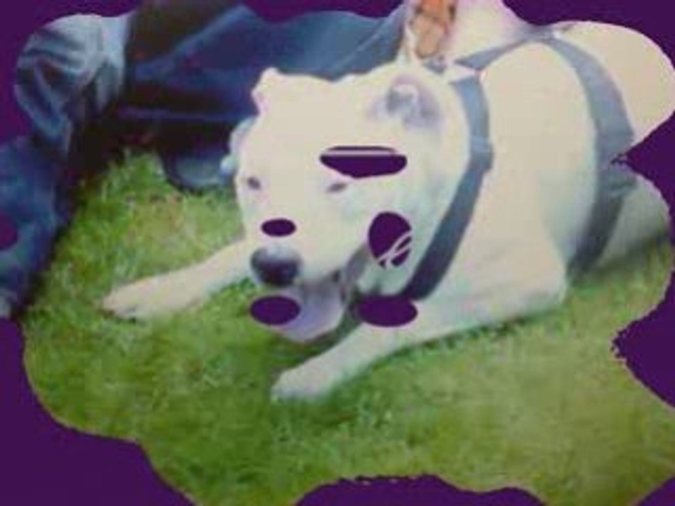 Balou