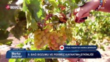Marka Şehirler 4 Ekim 2026