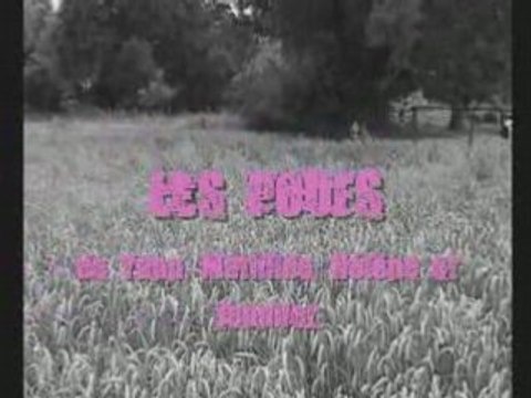 Bande Annonce Les poufs