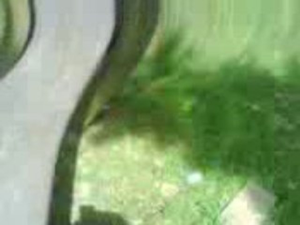 MOV01862