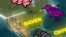 Et si les oiseaux prenaient le contrôle du monde ?