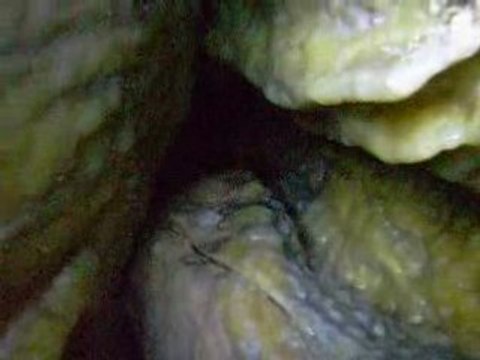 concretion montsouris catacombe meduse aout 2008 alkarou